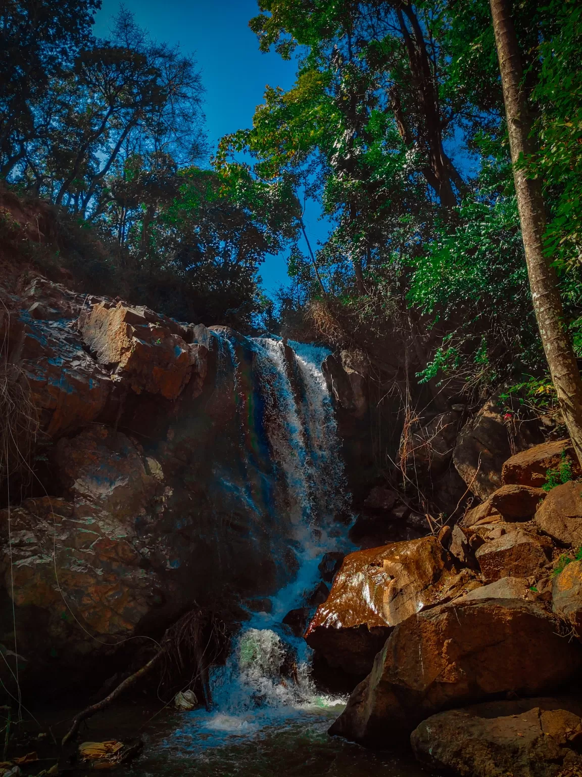 Photo of Coorg days By Nikhil Poonacha