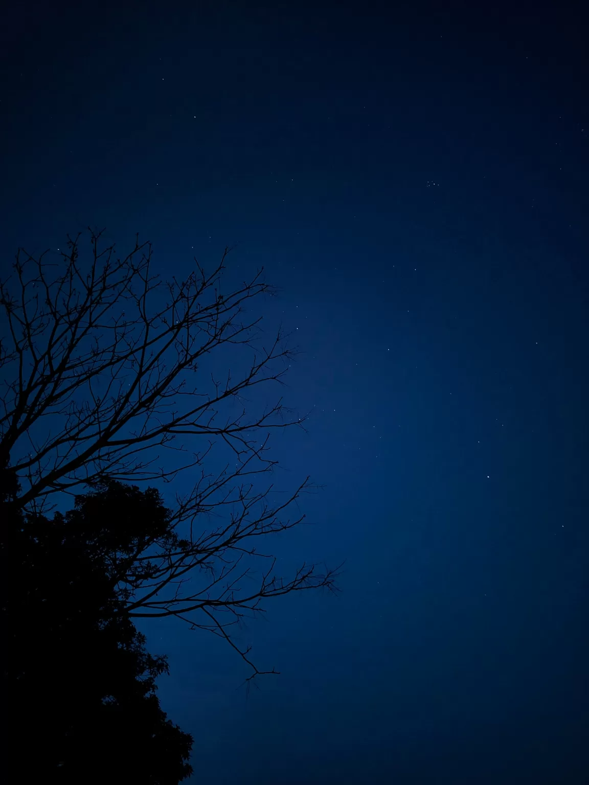 Photo of Coorg days By Nikhil Poonacha
