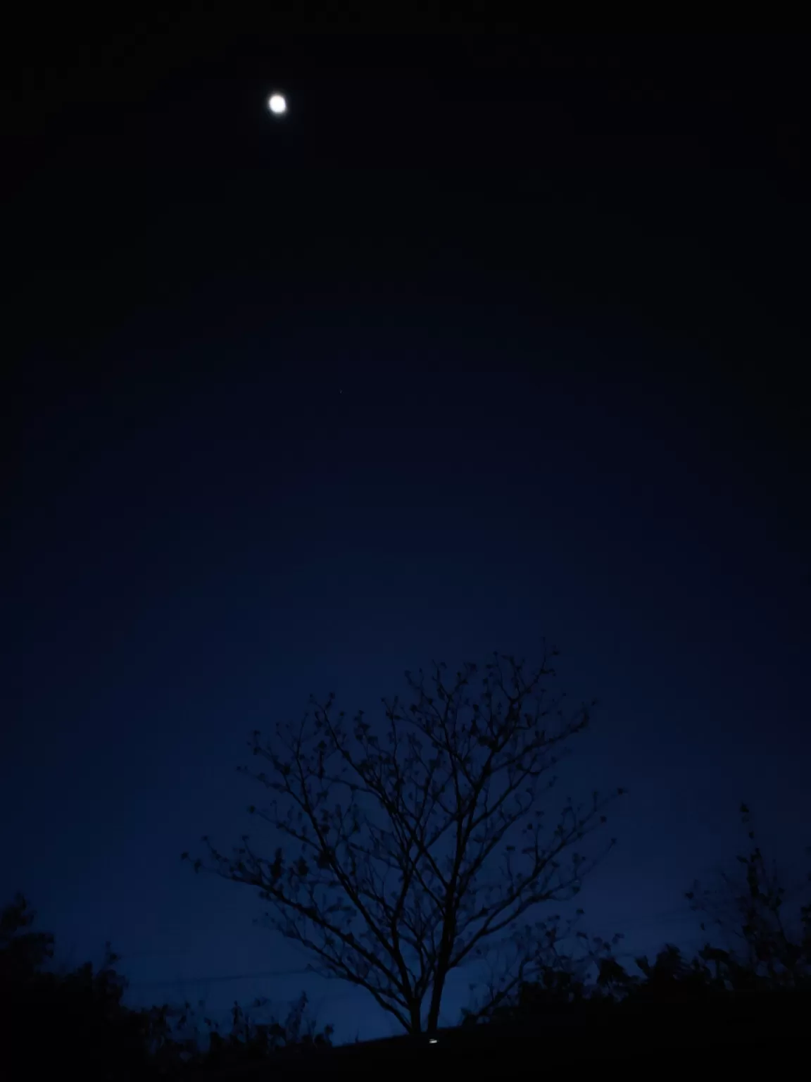 Photo of Coorg days By Nikhil Poonacha