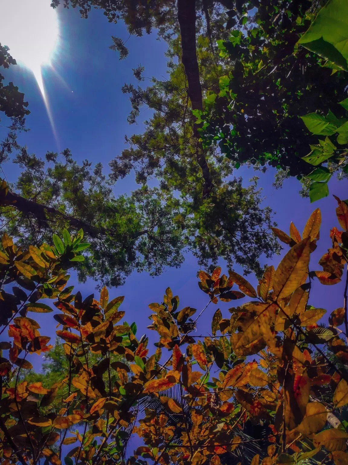 Photo of Coorg days By Nikhil Poonacha