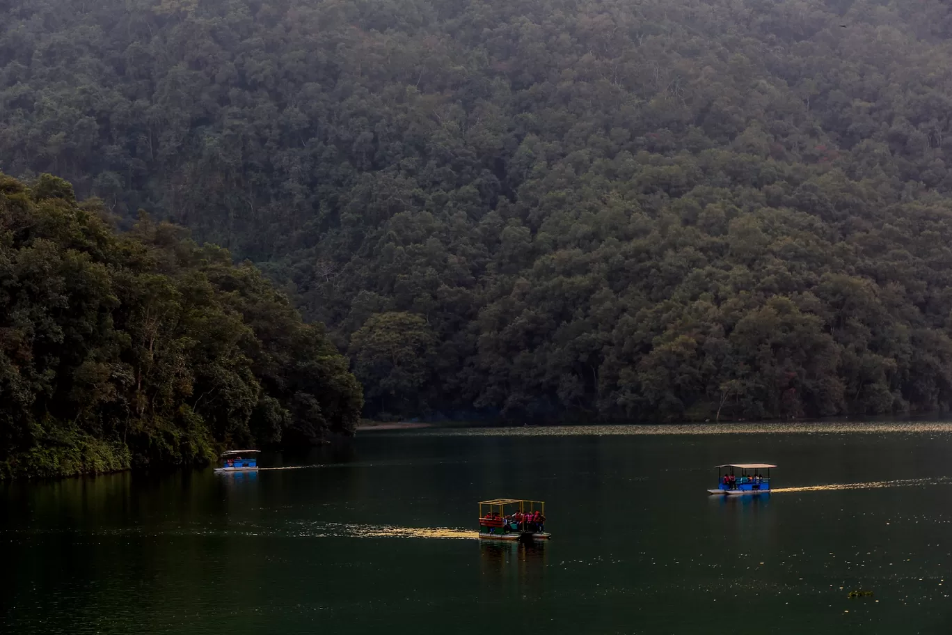 Photo of Phewa Lake By Anant Redkar