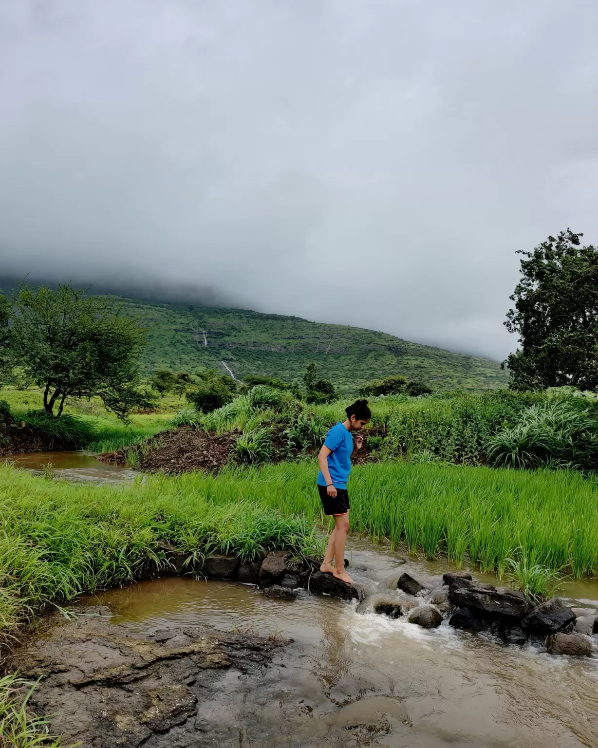 Photo of Sahyadri Mountains By Harshada Kotwal