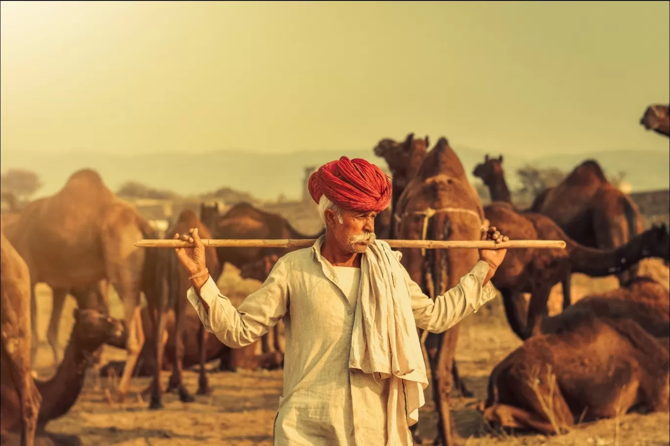 Photo of Pushkar By Sudhanshu Banotiya