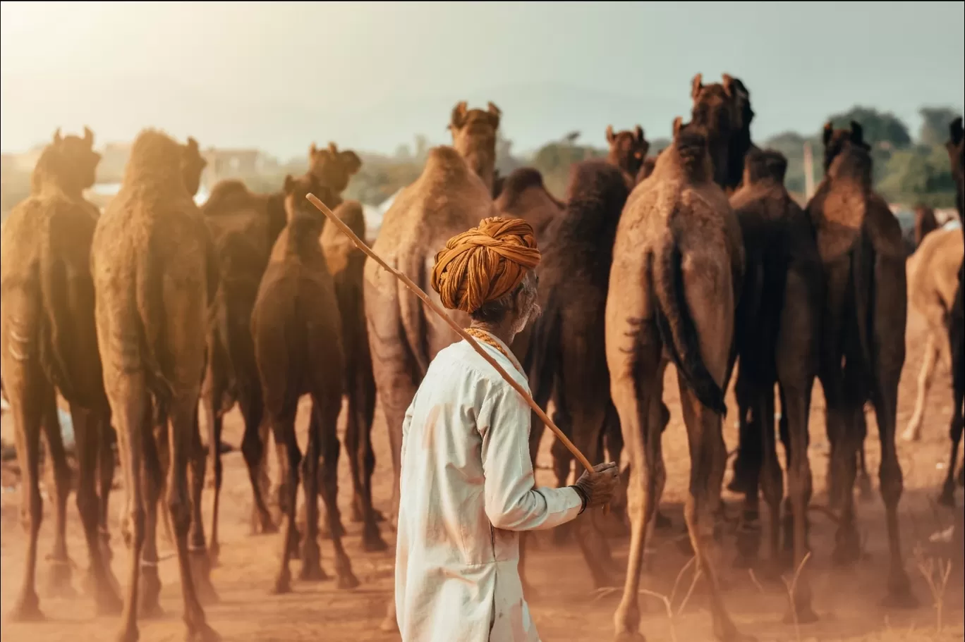 Photo of Pushkar By Sudhanshu Banotiya