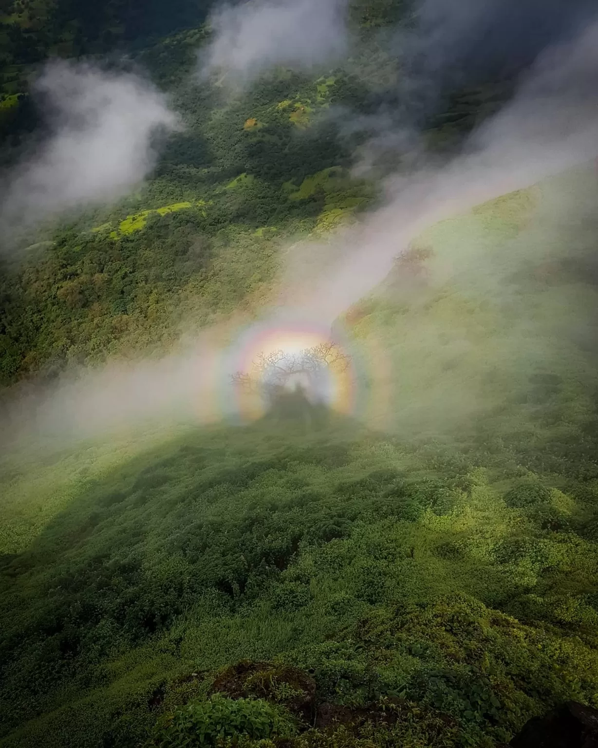 Photo of Sahyadri Mountains By Swapnil Jagtap