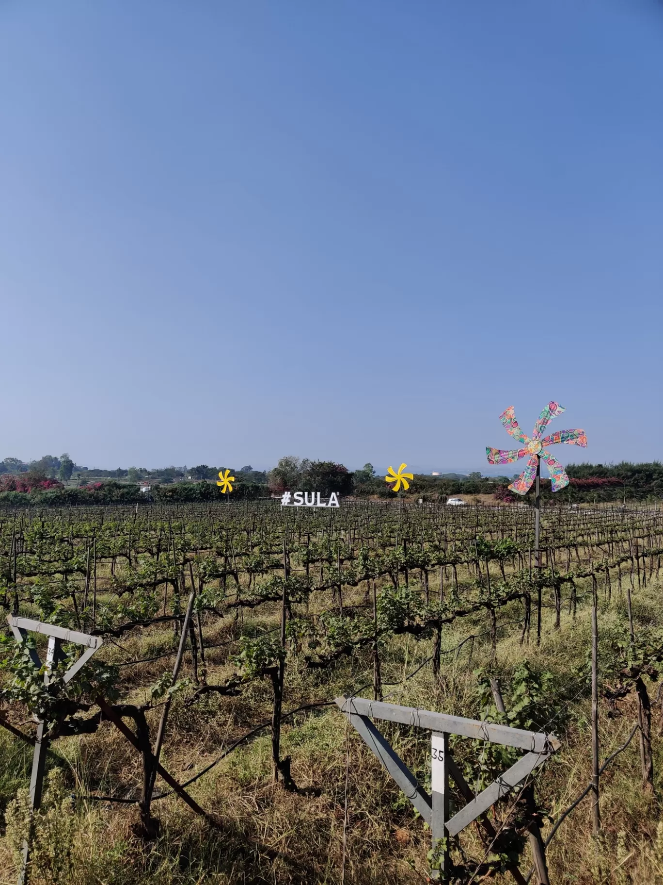 Photo of Sula Vineyards By Soham Vaidya