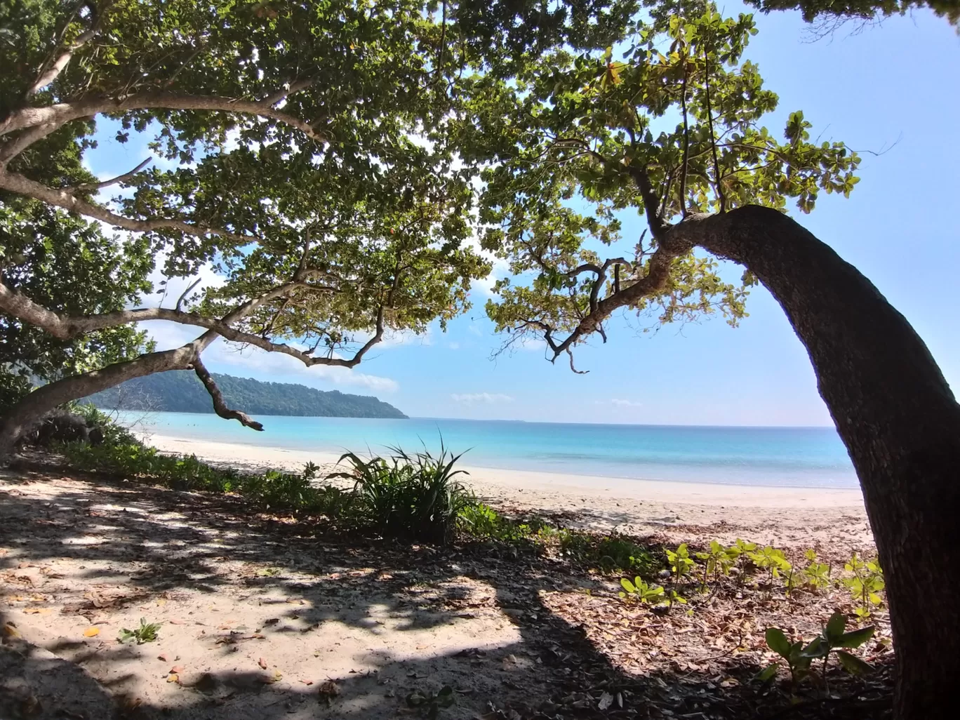 Photo of Havelock Island By Rohan K