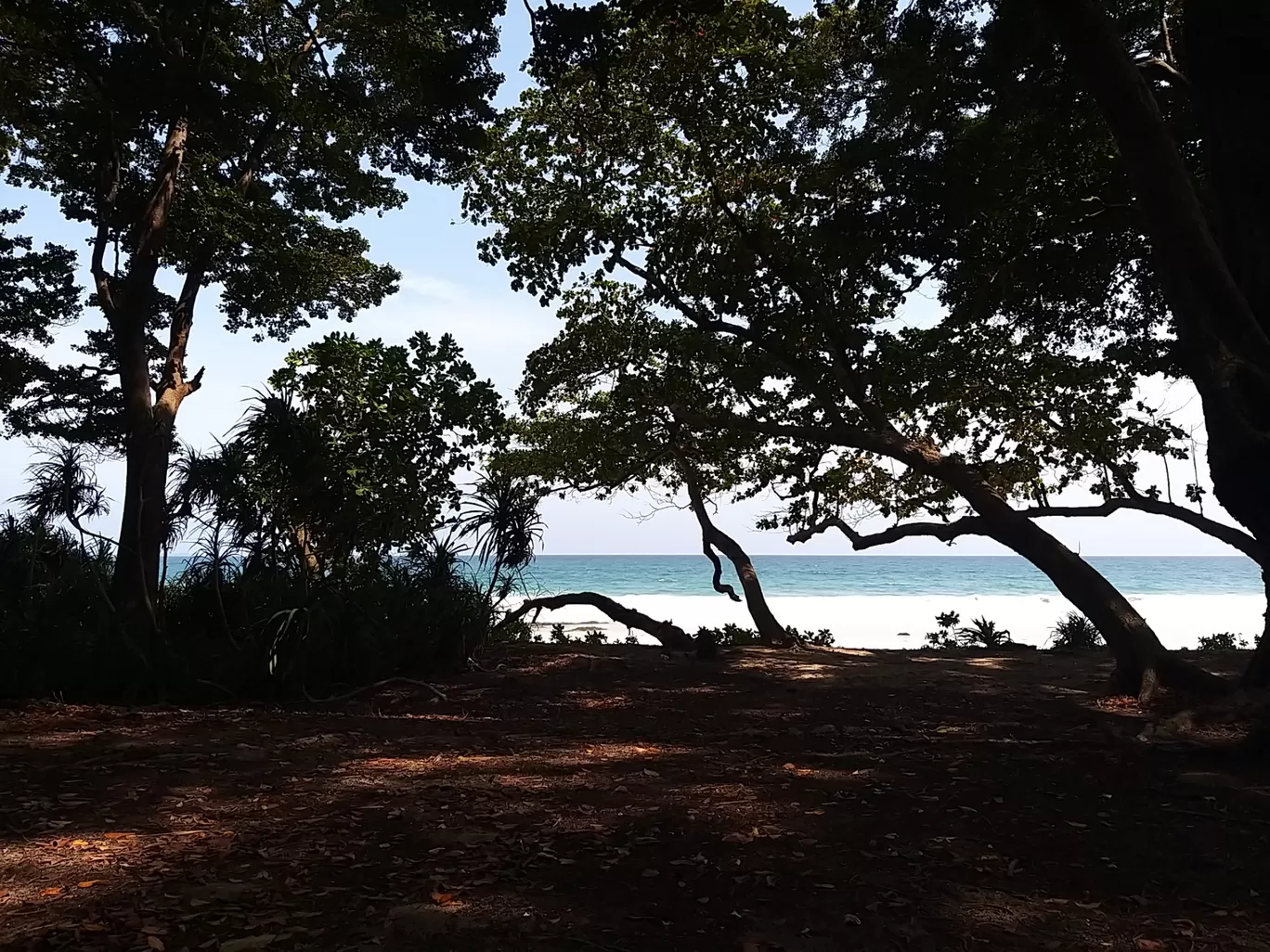 Photo of Havelock Island By Rohan K