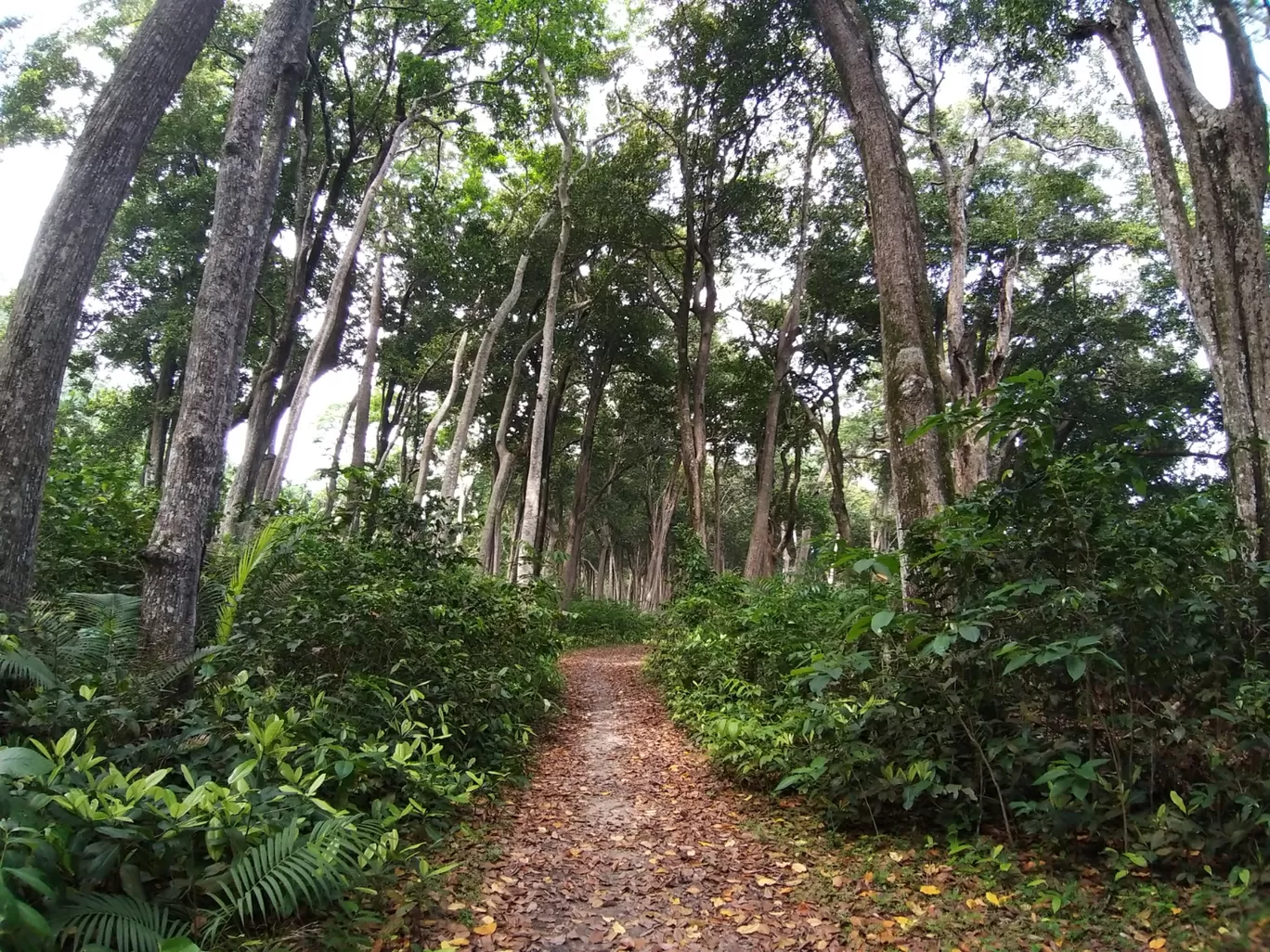 Photo of Havelock Island By Rohan K