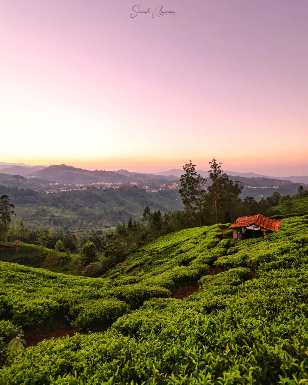 Photo of Kotagiri By sharath