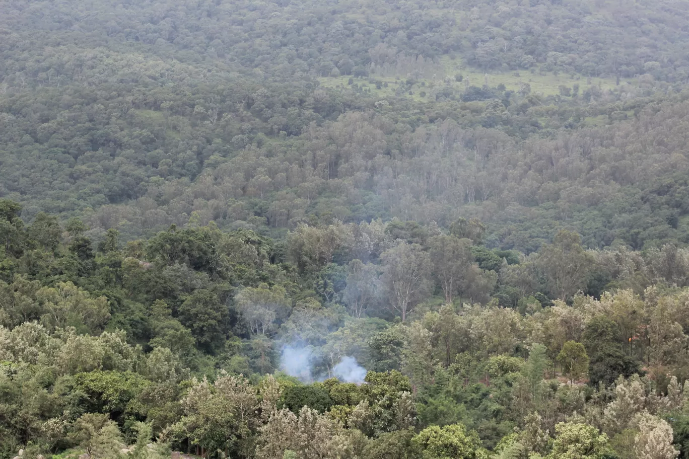Photo of Biligiriranganabetta By Nayana S Desai