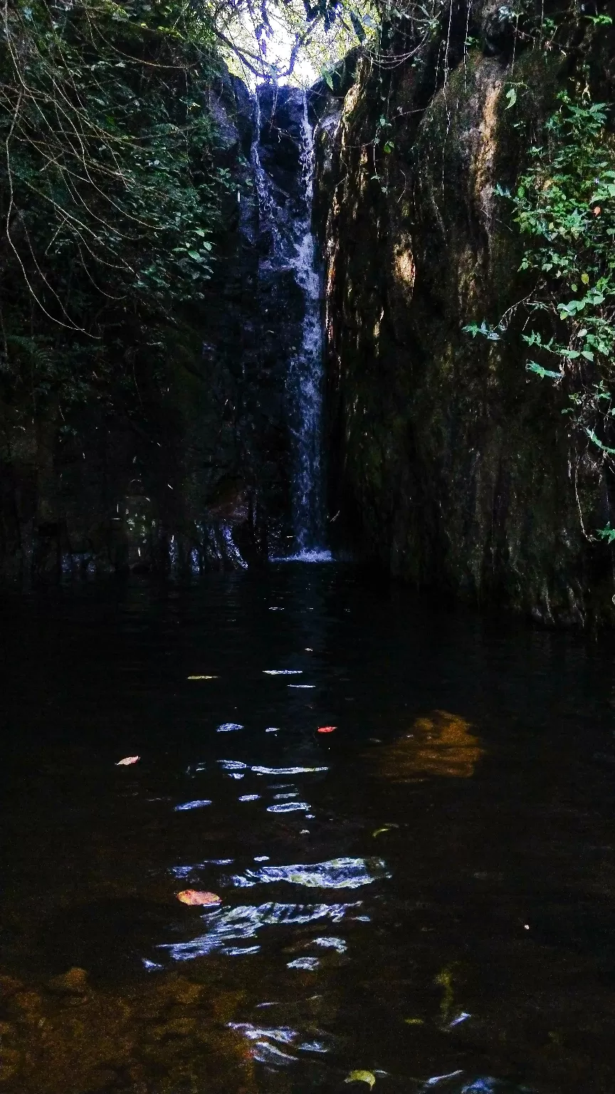 Photo of Megamalai Forest By RICHARD PRABHAKAR