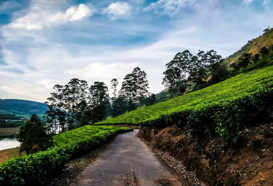 Photo of Megamalai Forest By RICHARD PRABHAKAR