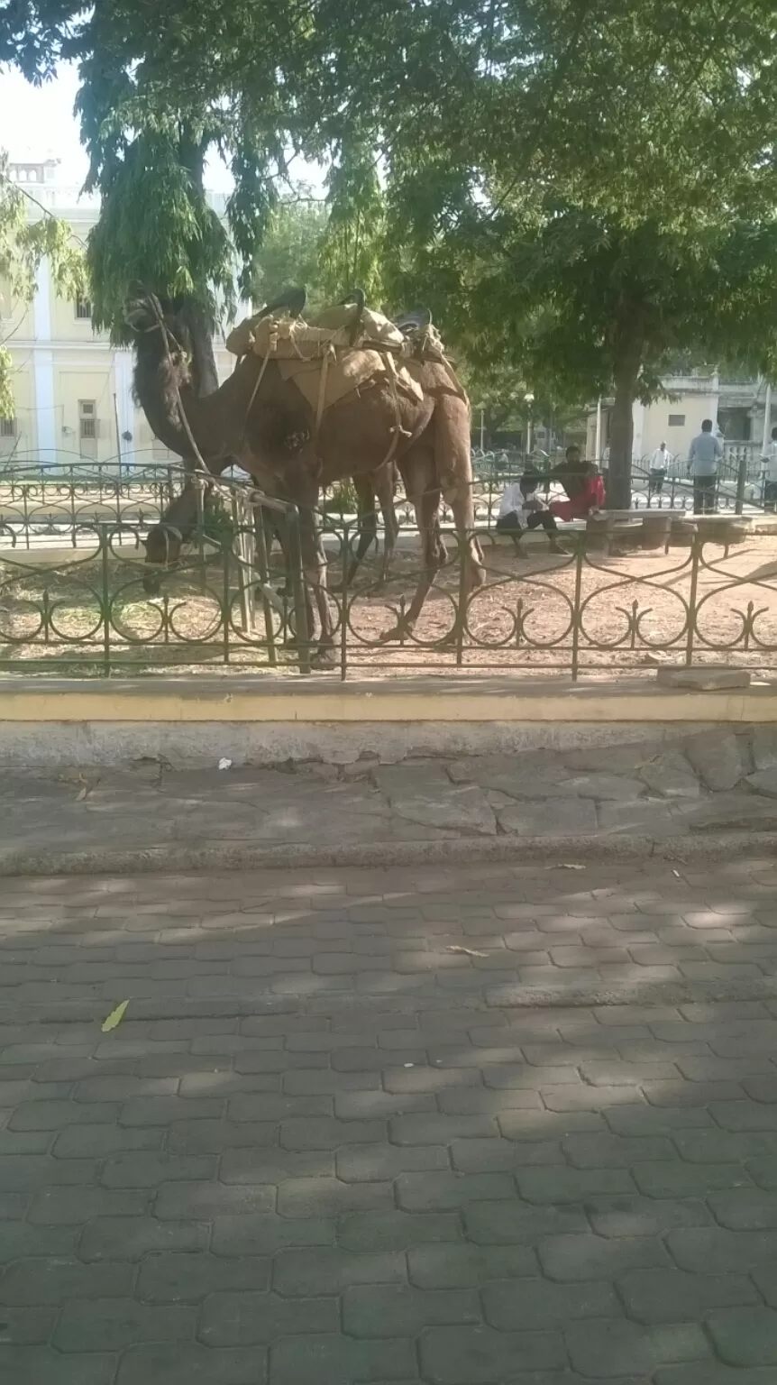 Photo of Katigara By Rumen Alam