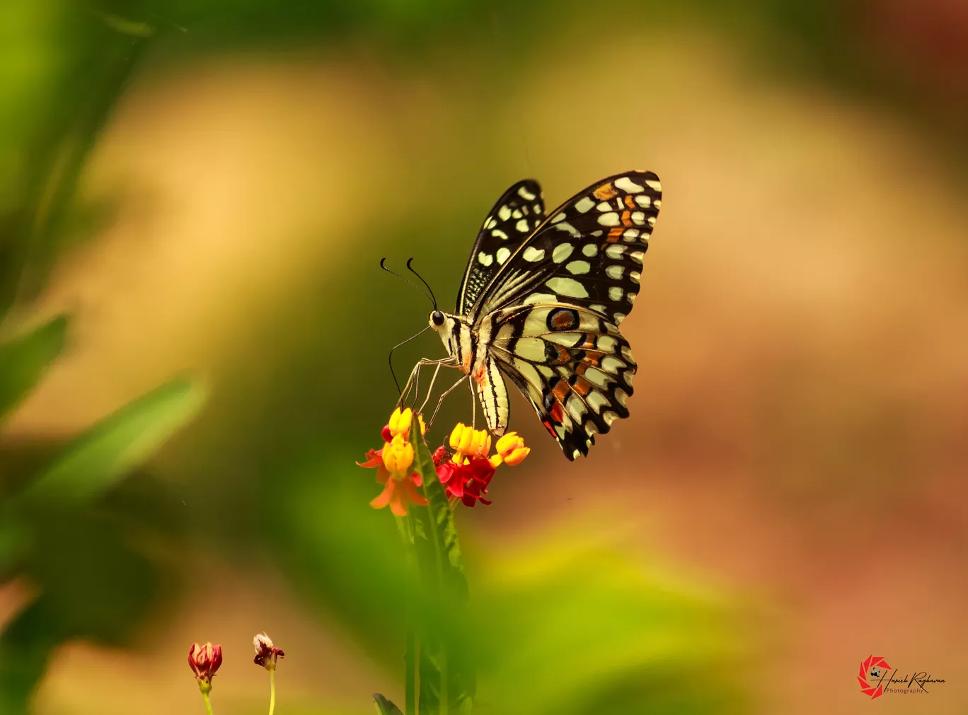 Photo of Ooty By Harish