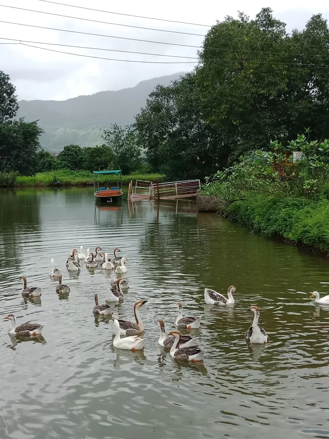 Photo of Shaguna baug, neral By Krishna Jhaveri