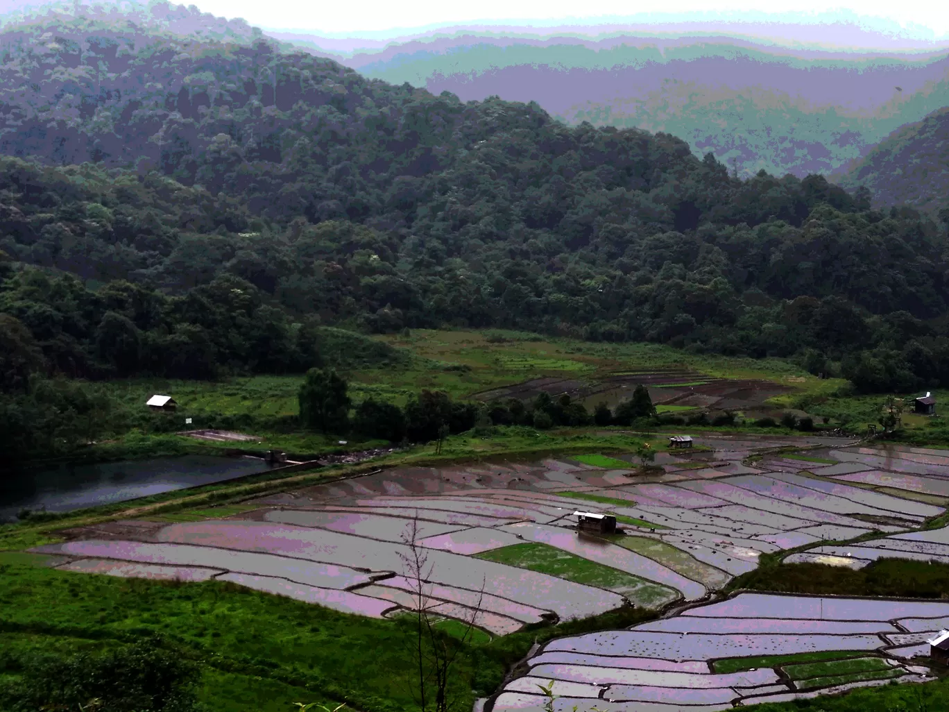 Photo of Nagaland By Siddhi Sardesai