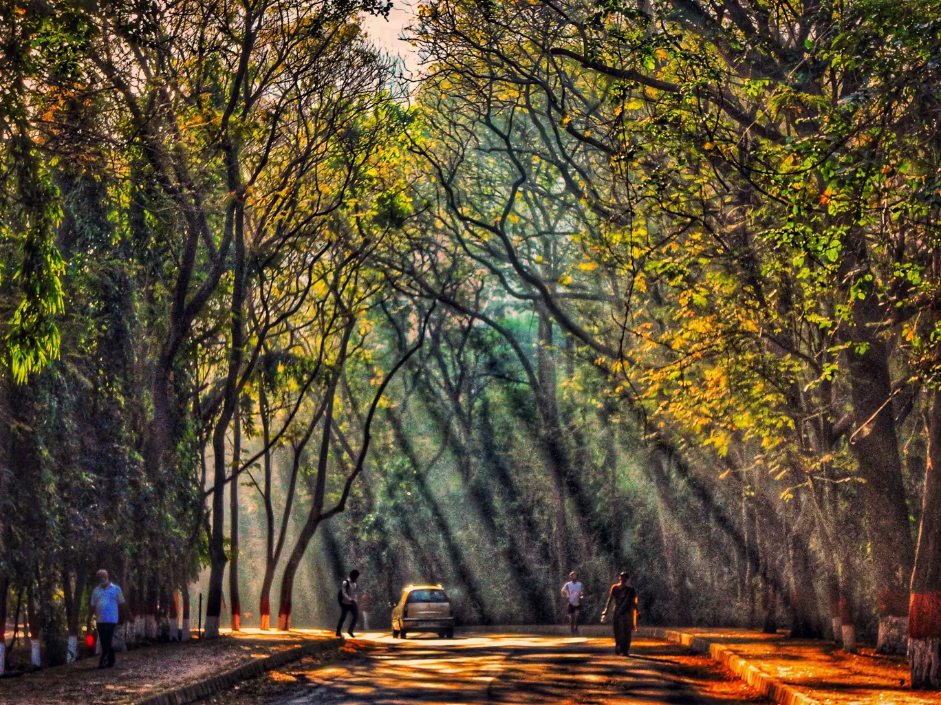 Photo of Sanjay Gandhi National Park By Khushboo