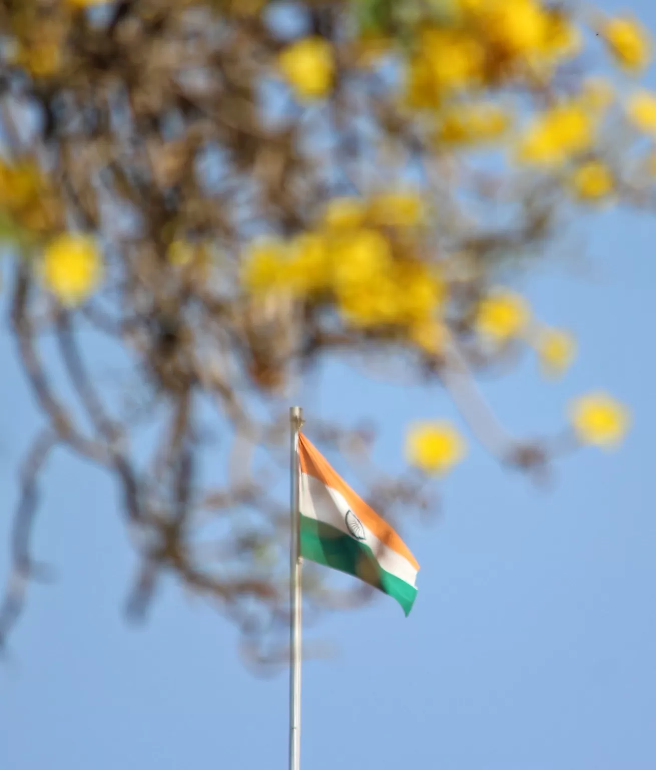 Photo of Cubbon Park By Bharath Bara