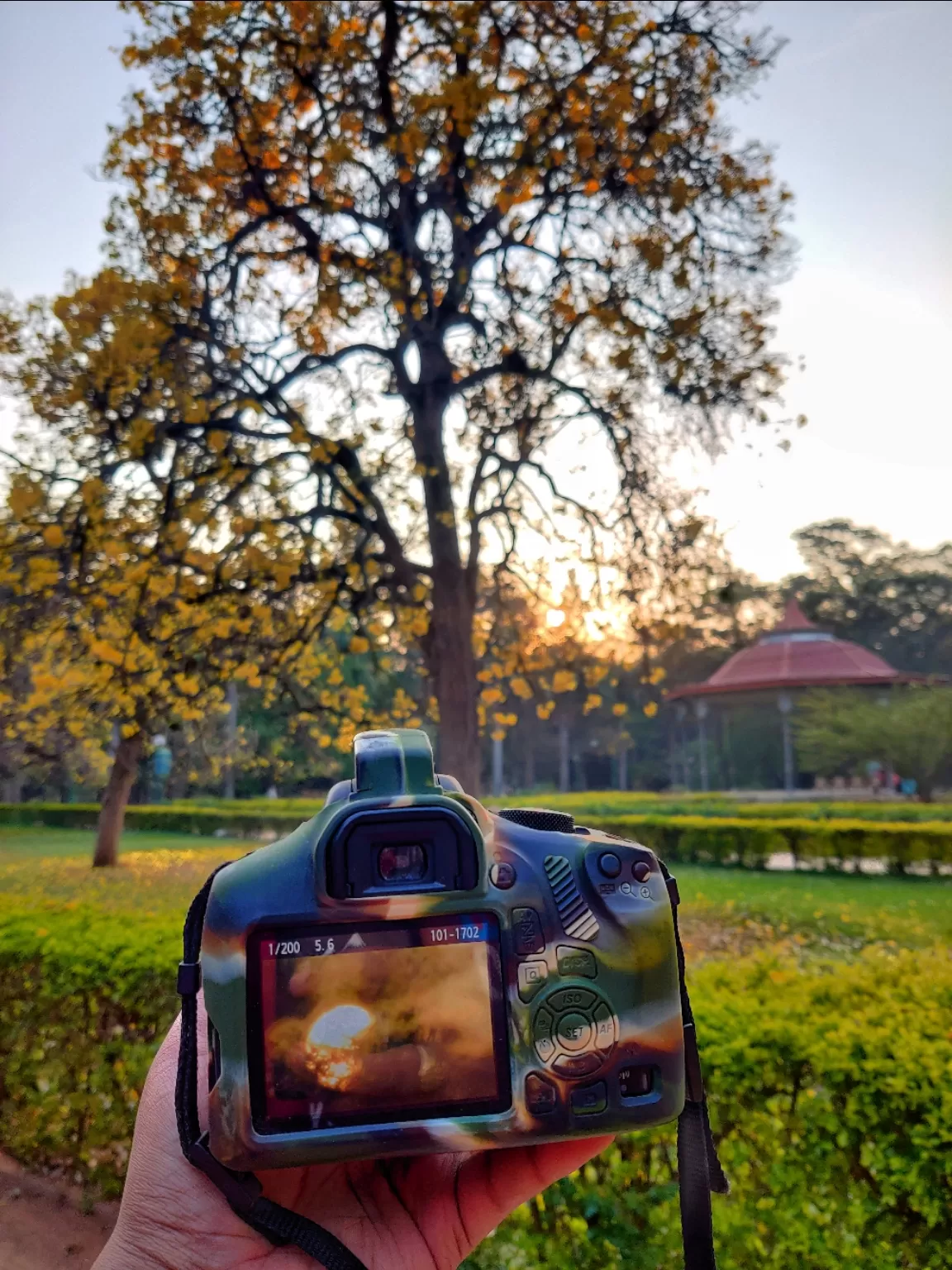 Photo of Cubbon Park By Bharath Bara