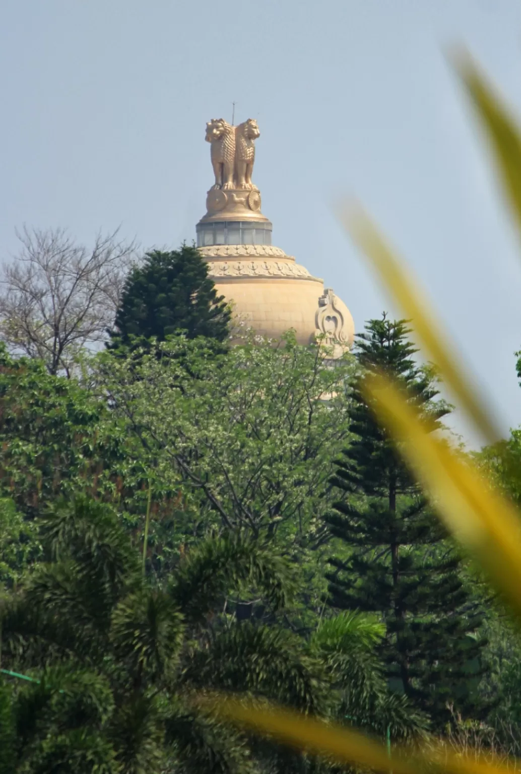 Photo of Cubbon Park By Bharath Bara