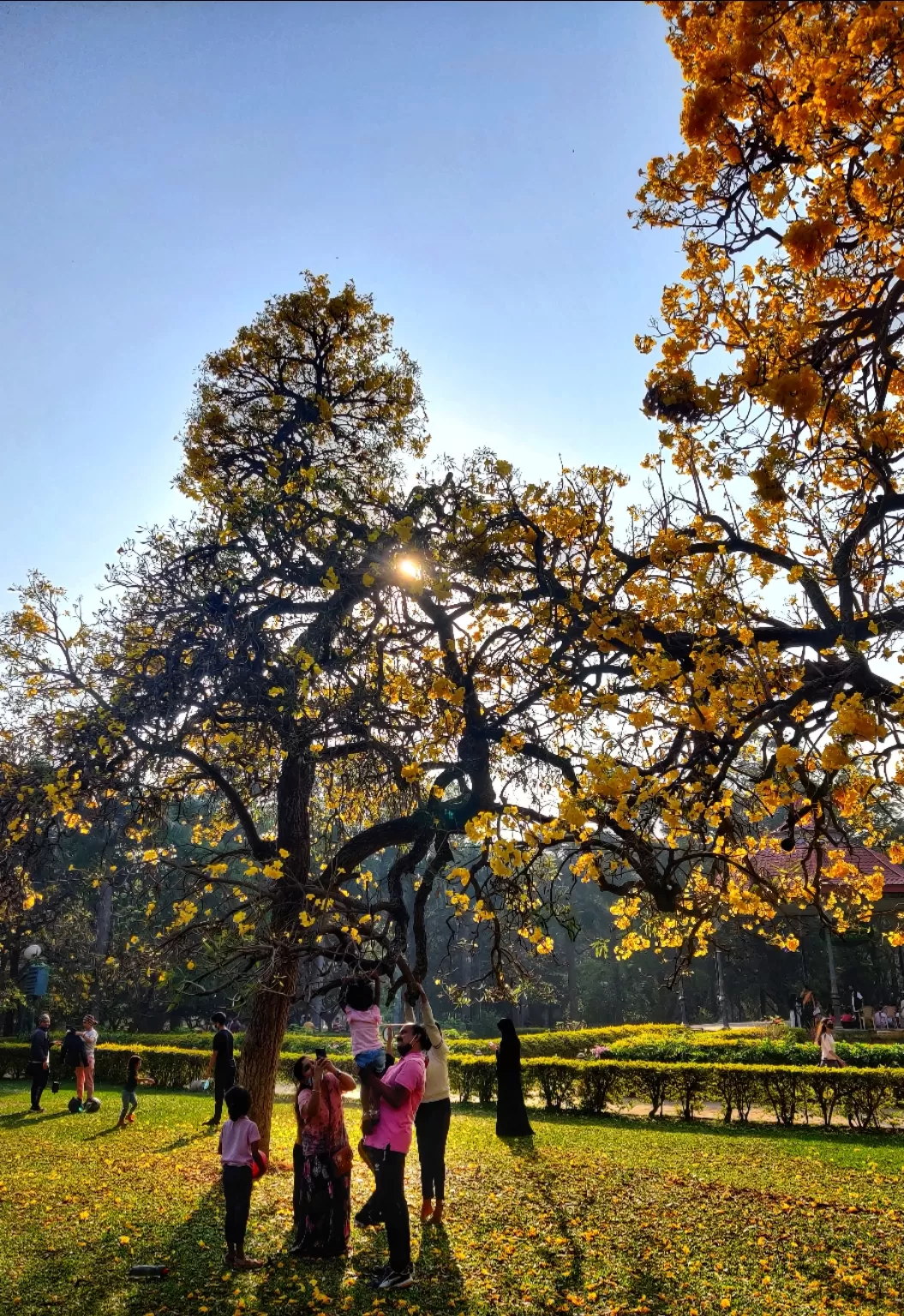 Photo of Cubbon Park By Bharath Bara