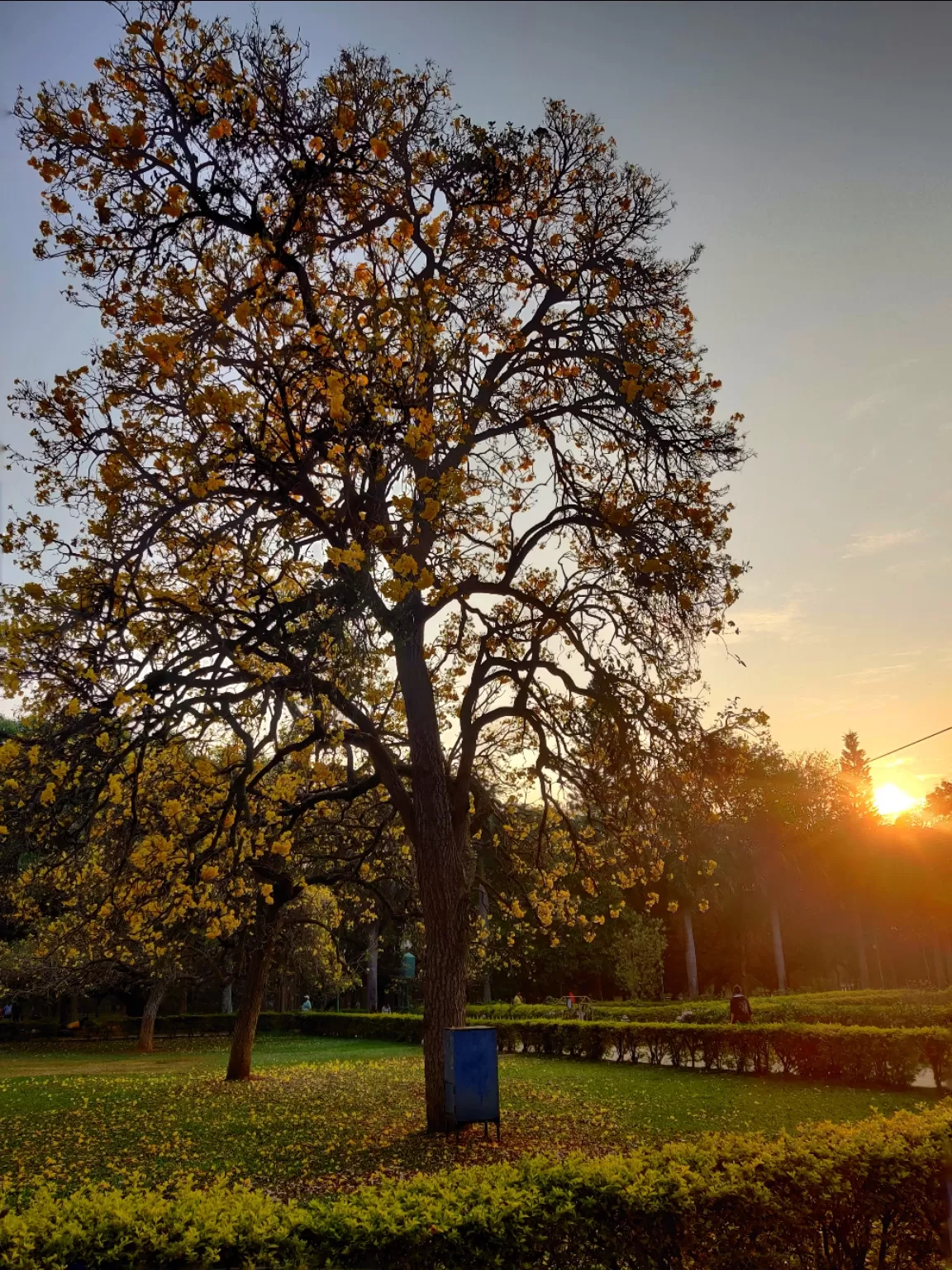 Photo of Cubbon Park By Bharath Bara