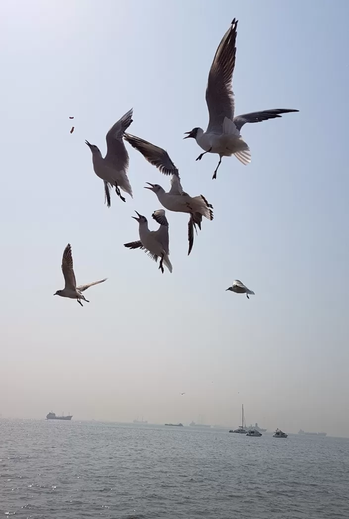 Photo of Mumbai By Arjun Manigandan