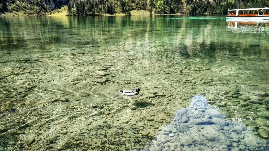 Photo of Königssee By coloursofwanderlust 