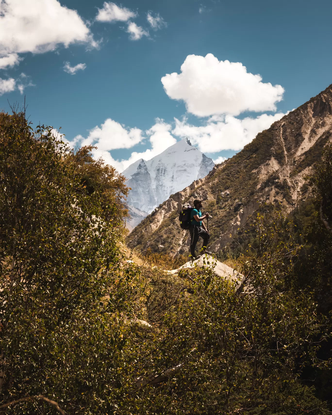 Photo of Gangotri National Park By Akshay Upadhya