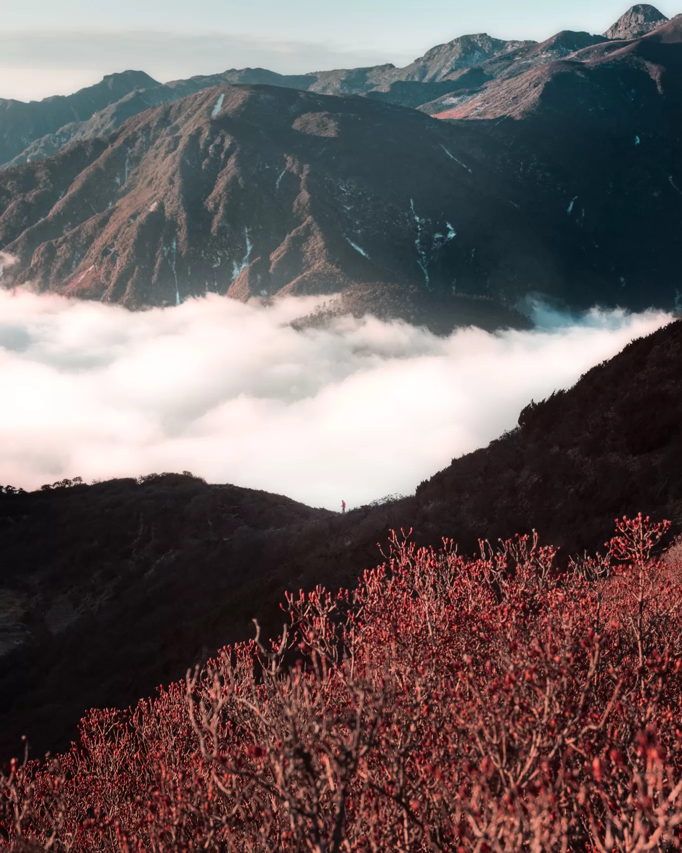 Photo of Khangchendzonga National Park By Akshay Upadhya