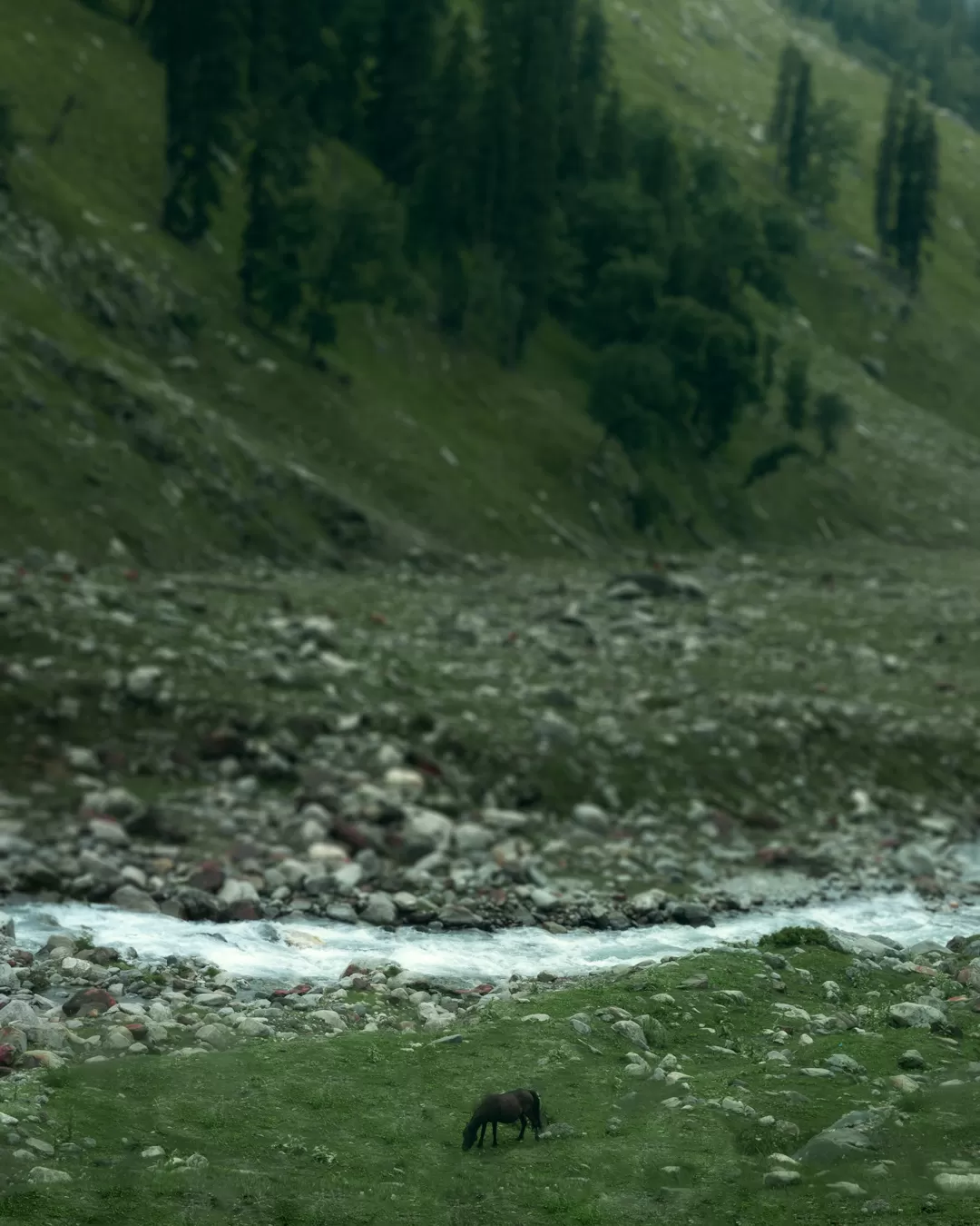 Photo of Hamta Pass By Akshay Upadhya