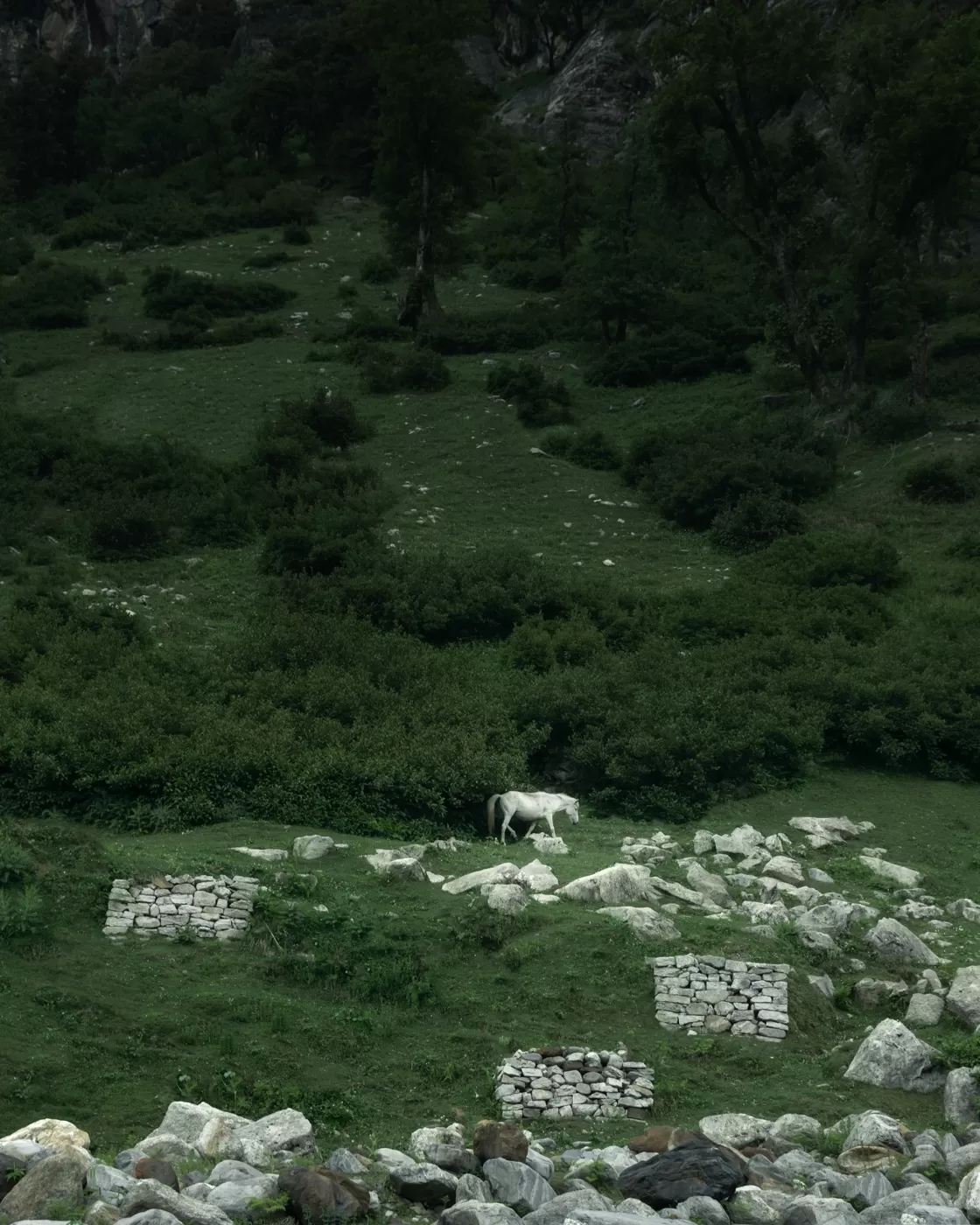 Photo of Hamta Pass By Akshay Upadhya