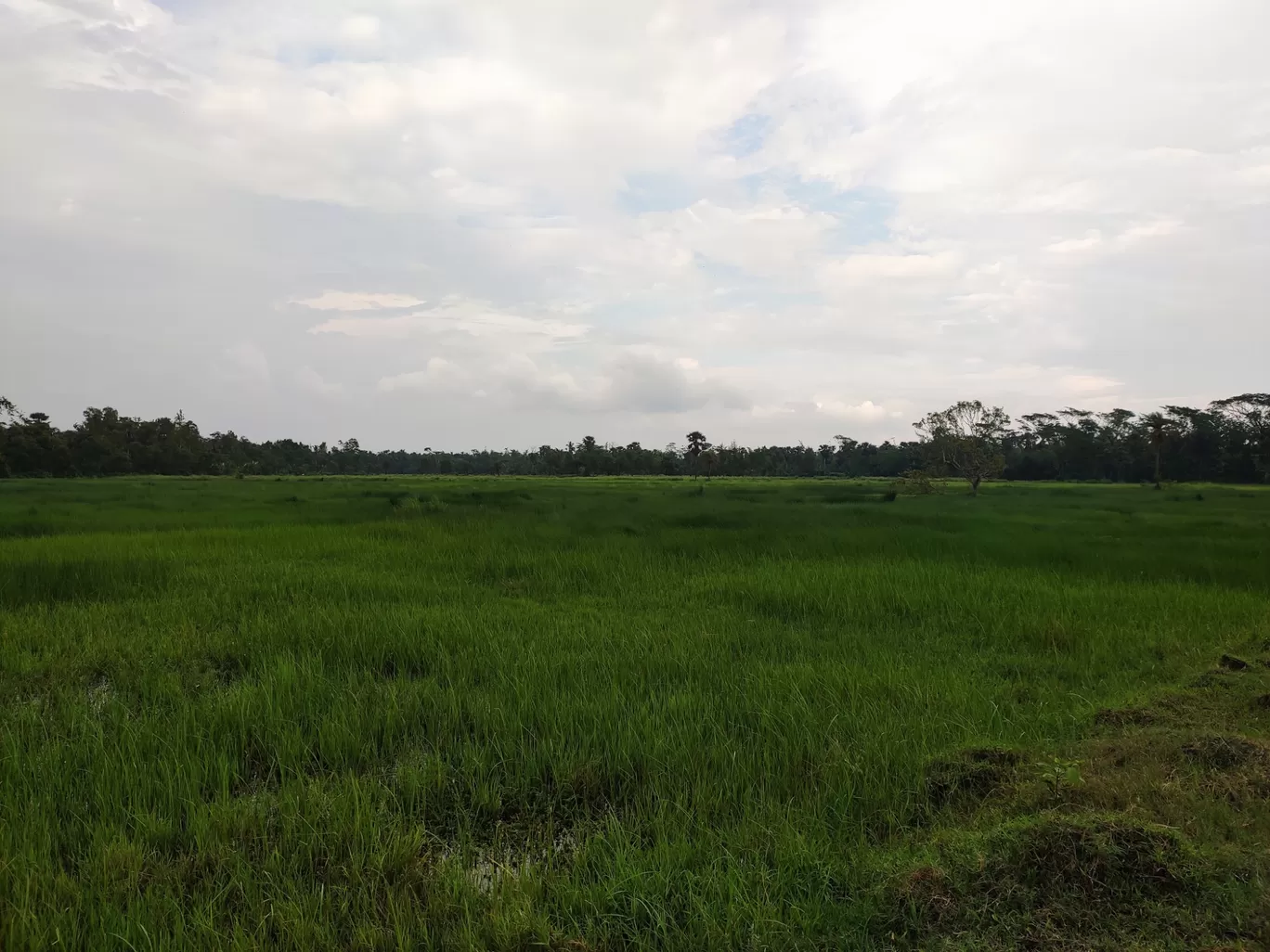 Photo of Falta By devangana das