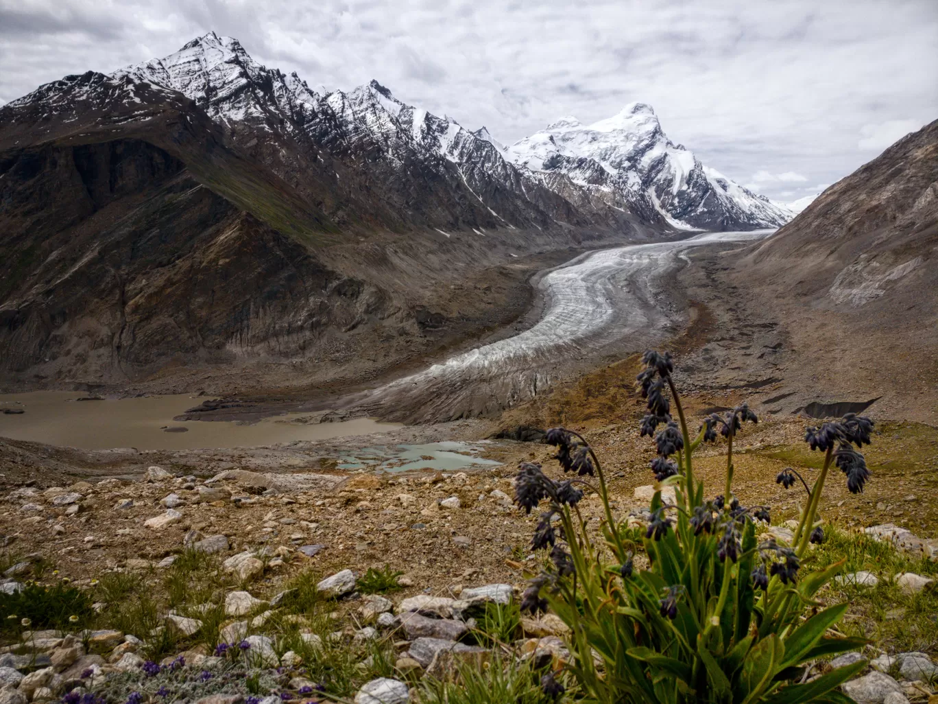 Photo of Zanskar Valley Road By Vatsal Konkani