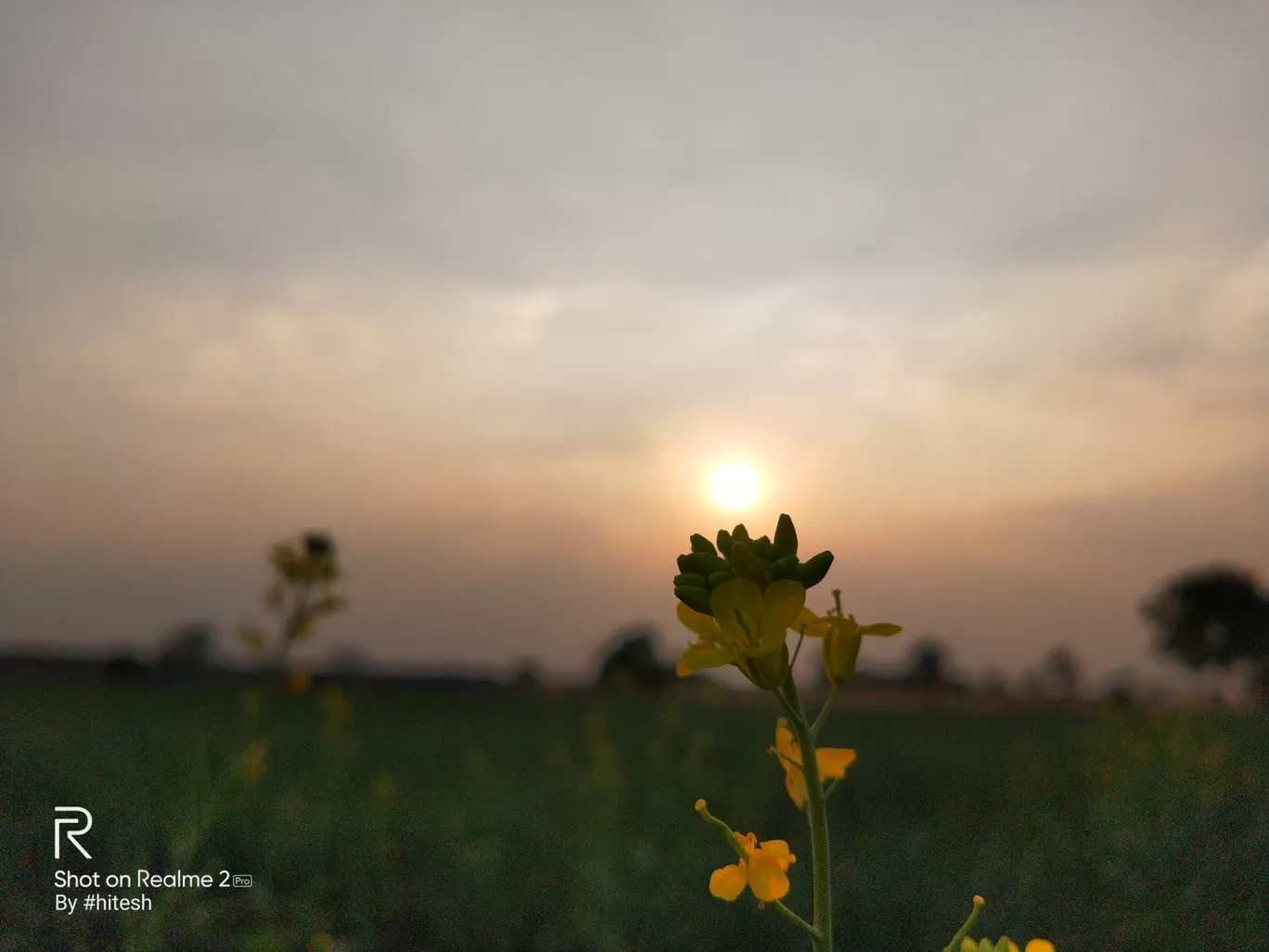 Photo of Gangapur By Hitesh Patil
