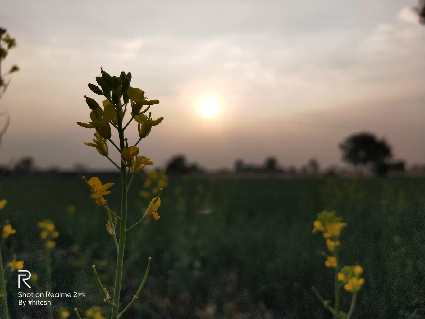 Photo of Gangapur By Hitesh Patil