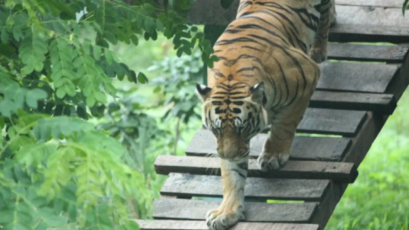 Photo of Vidisha By VIVEK Dk