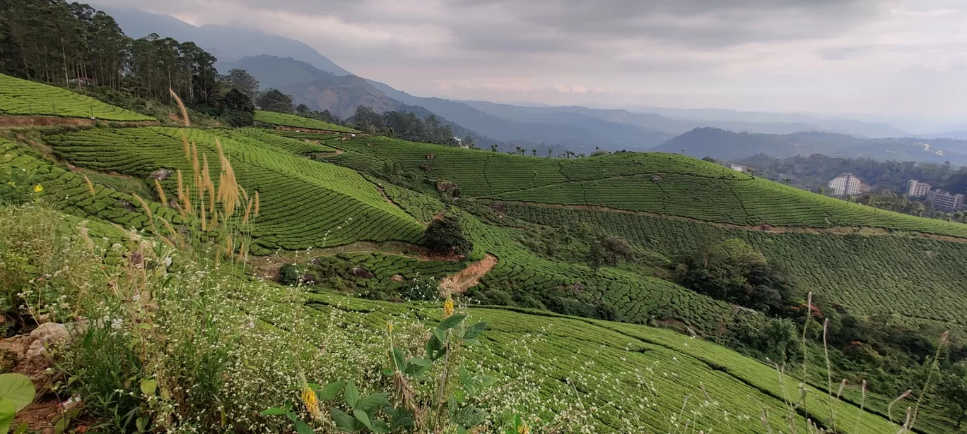 Photo of Kerala By yashvi thaker