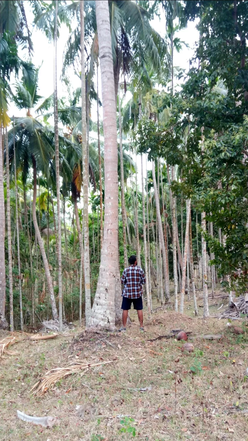 Photo of Portblair- the city of beaches By Sandp Duhan