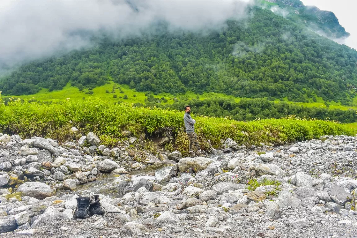 Photo of Valley of Flowers National Park By Vijay Richhiya