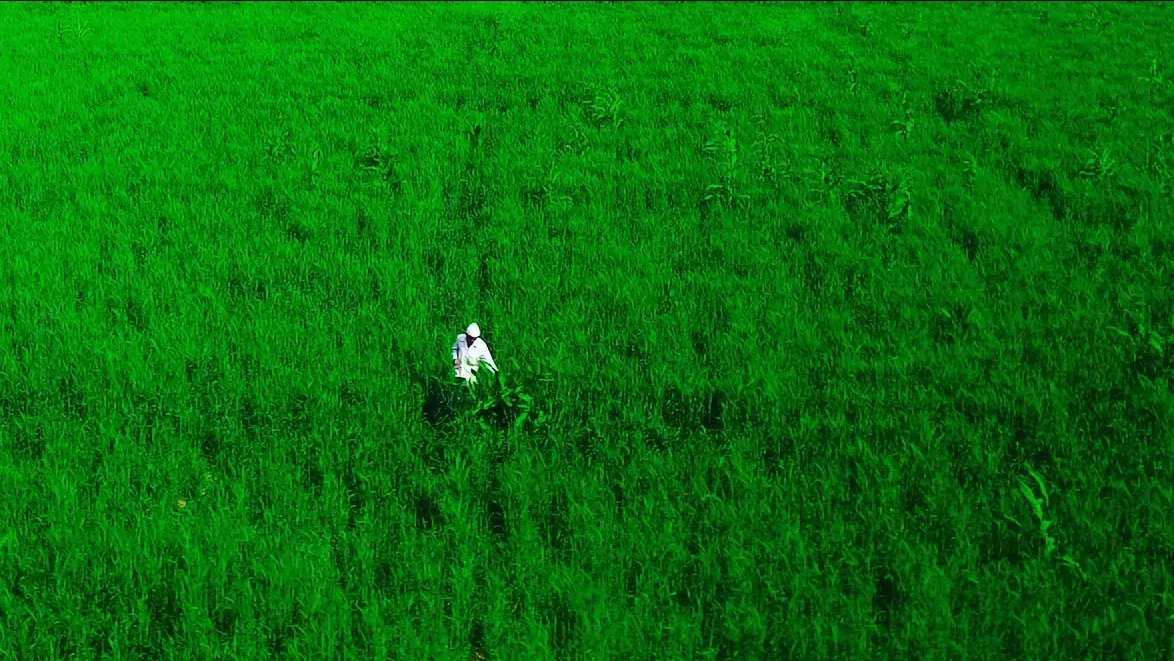 Photo of India By PRECISE GR∆PHY