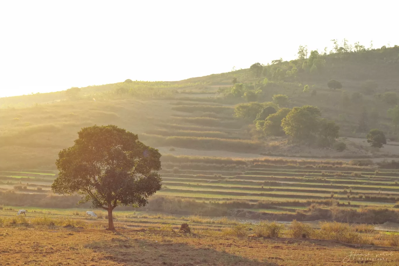 Photo of Araku By Harsh Patel