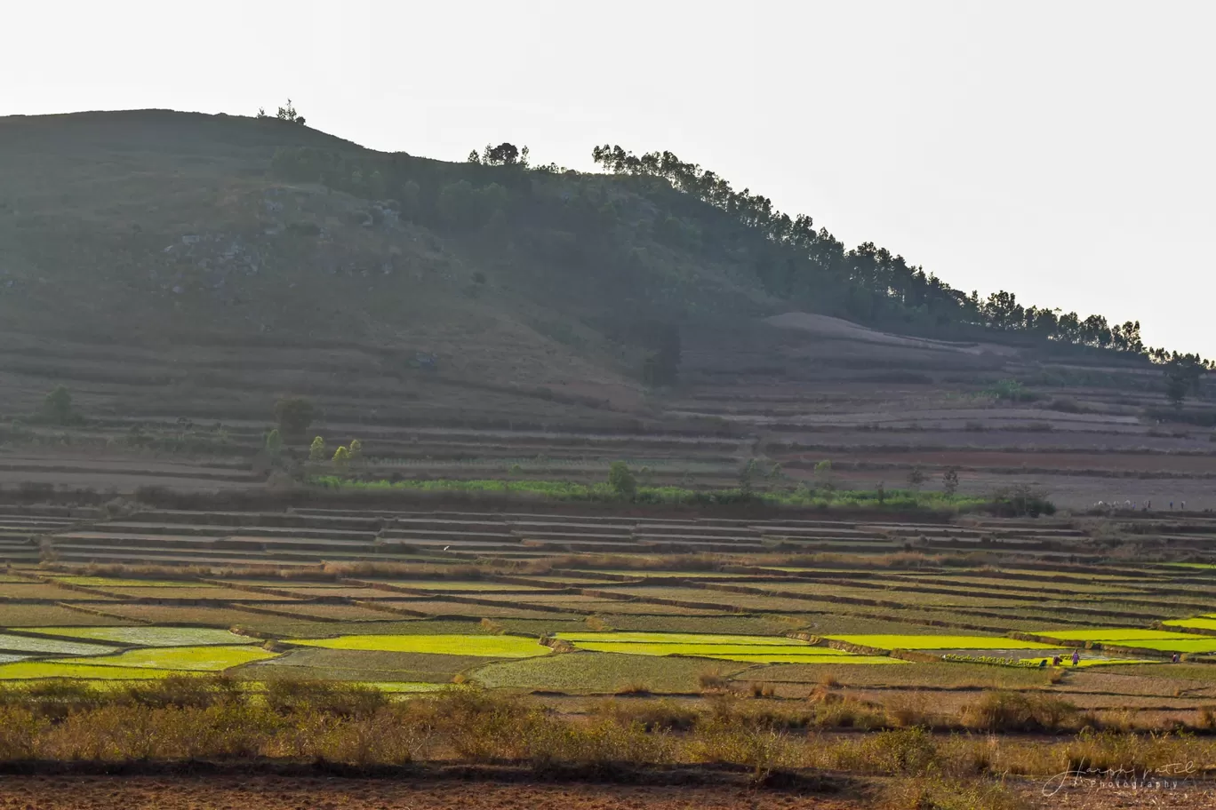 Photo of Araku By Harsh Patel