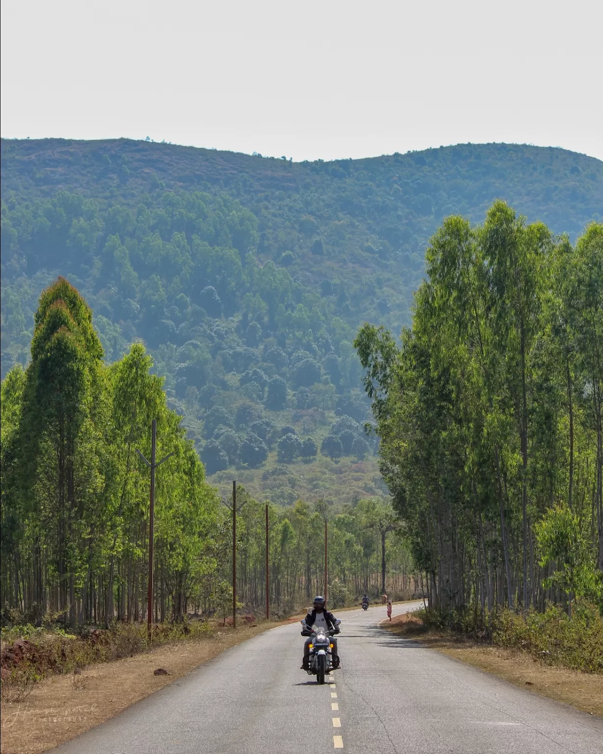 Photo of Araku By Harsh Patel