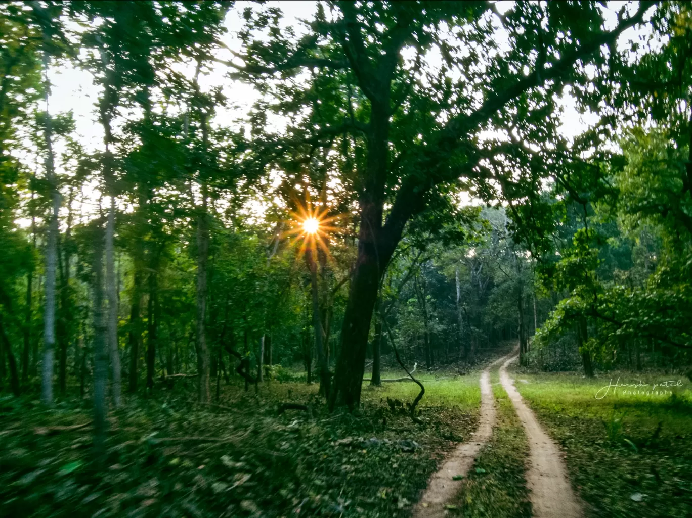 Photo of Barnawapara Wildlife Sanctuary By Harsh Patel