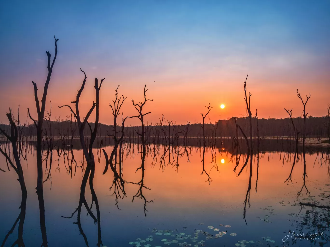 Photo of Barnawapara Wildlife Sanctuary By Harsh Patel