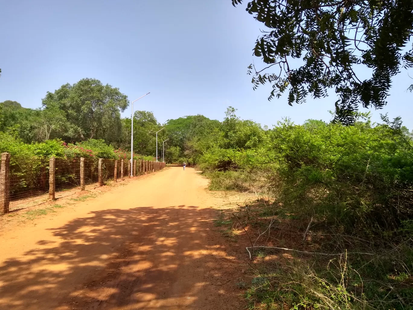 Photo of Auroville By Faltuvlogger