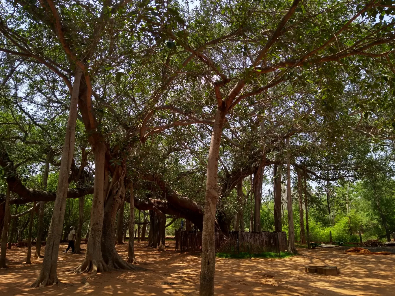 Photo of Auroville By Faltuvlogger