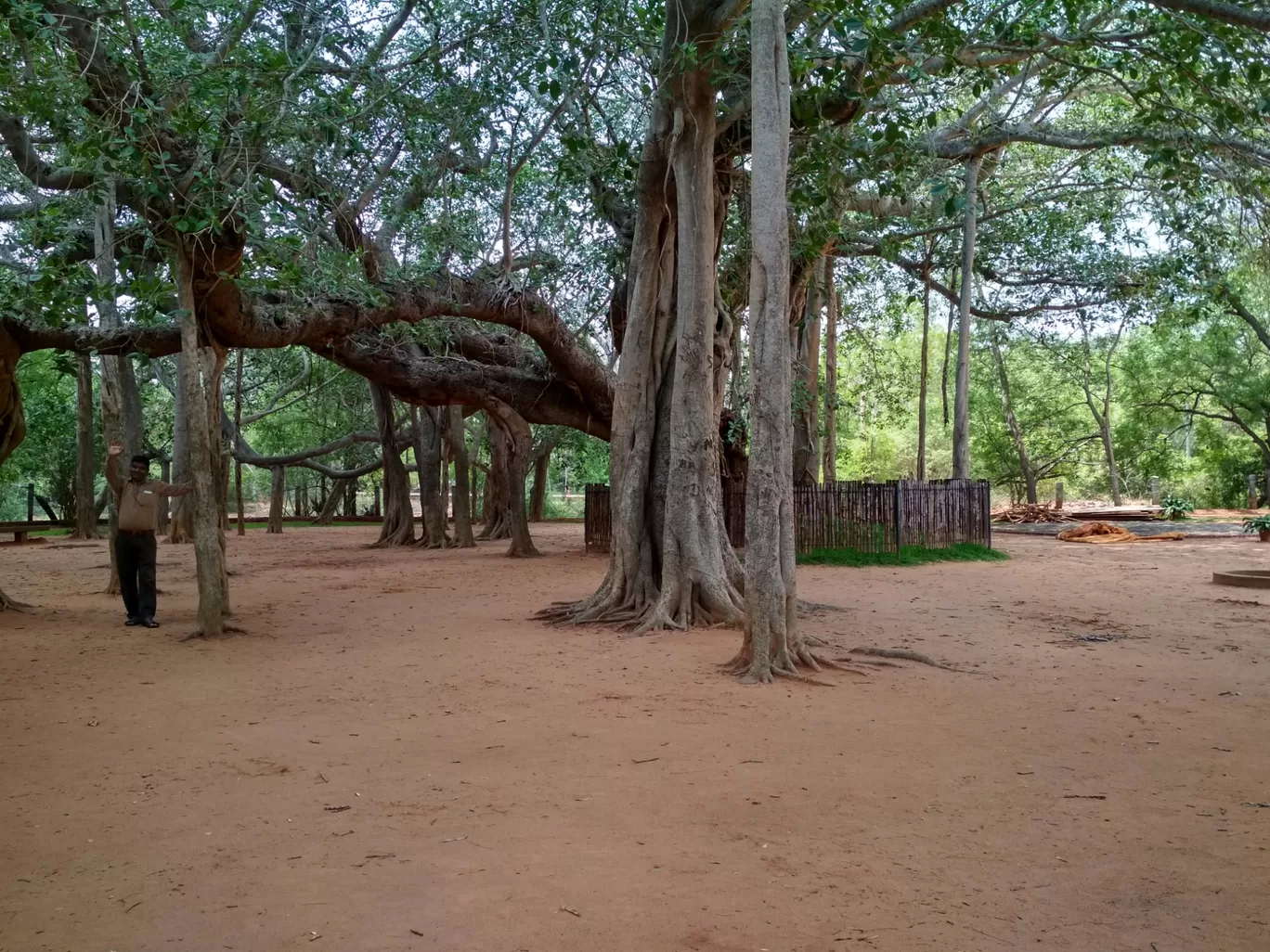 Photo of Auroville By Faltuvlogger